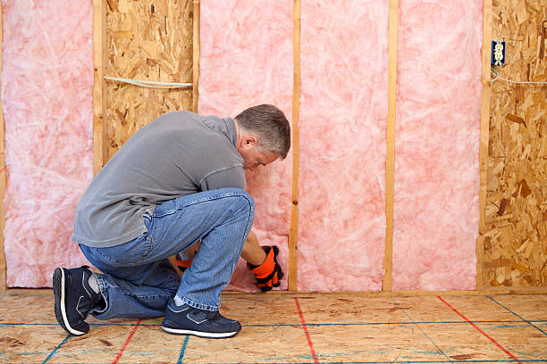 Best Cellulose Insulation in Marysville, MI